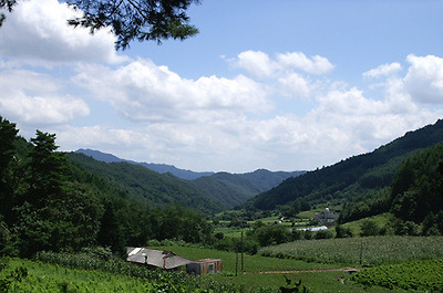 이미지를 클릭하면 원본을 보실 수 있습니다.