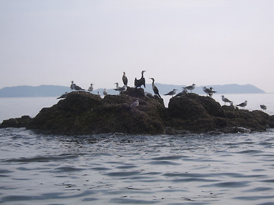 소야도에서의 일박이일