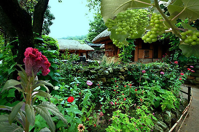 이미지를 클릭하면 원본을 보실 수 있습니다.