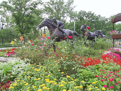 이미지를 클릭하면 원본을 보실 수 있습니다.