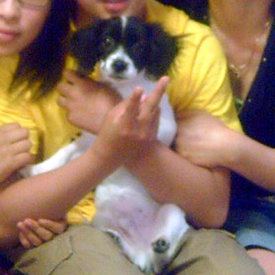 이미지를 클릭하면 원본을 보실 수 있습니다.