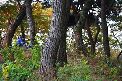이미지를 클릭하면 원본을 보실 수 있습니다.