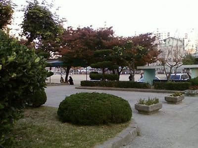 이미지를 클릭하면 원본을 보실 수 있습니다.