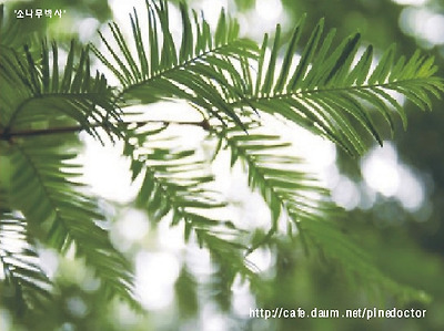 (사진을 크릭하시면 상세설명이 나옵니다.)