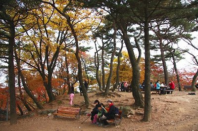 이미지를 클릭하면 원본을 보실 수 있습니다.