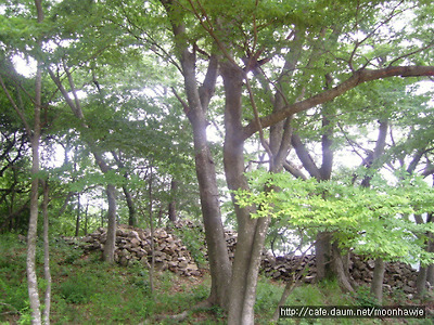 이미지를 클릭하면 원본을 보실 수 있습니다.