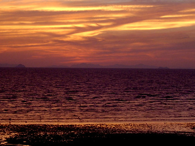 12월16일 일요여행 {모세의기적 제부도 여행}