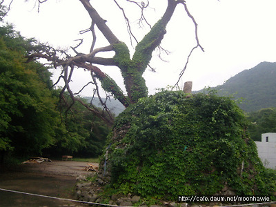 이미지를 클릭하면 원본을 보실 수 있습니다.