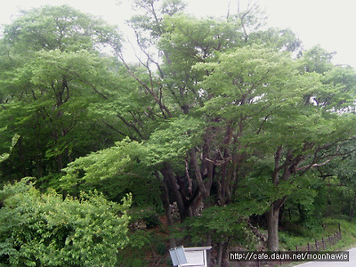 이미지를 클릭하면 원본을 보실 수 있습니다.