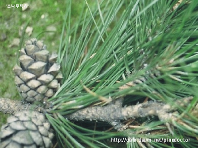 (사진을 크릭하시면 상세설명이 나옵니다.)