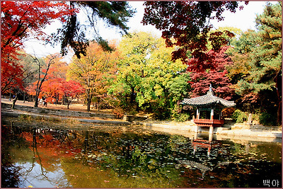 3) 창덕궁 / 애련지