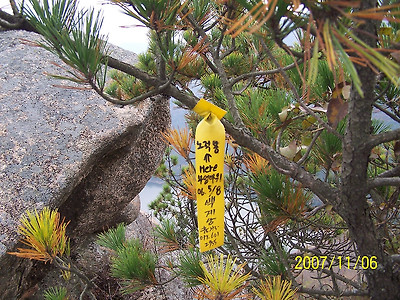 이미지를 클릭하면 원본을 보실 수 있습니다.