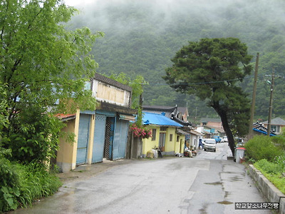 이미지를 클릭하면 원본을 보실 수 있습니다.