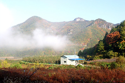 이미지를 클릭하면 원본을 보실 수 있습니다.