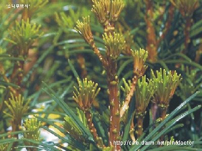 (사진을 크릭하시면 상세설명이 나옵니다.)