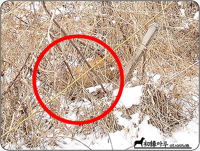 이미지를 클릭하면 원본을 보실 수 있습니다.