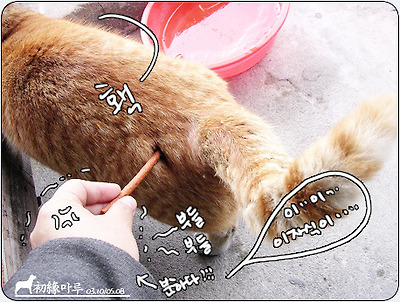 이미지를 클릭하면 원본을 보실 수 있습니다.