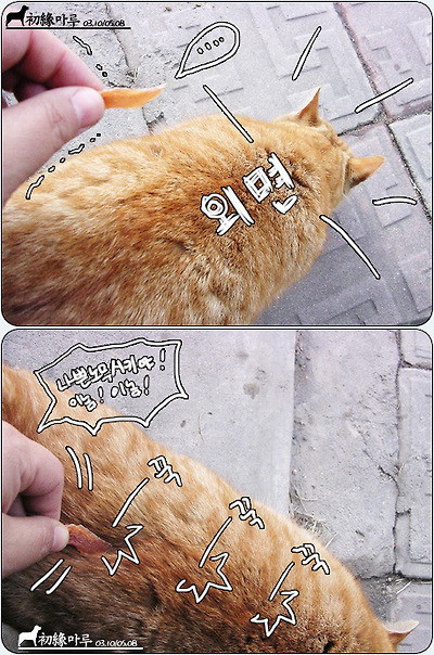 이미지를 클릭하면 원본을 보실 수 있습니다.