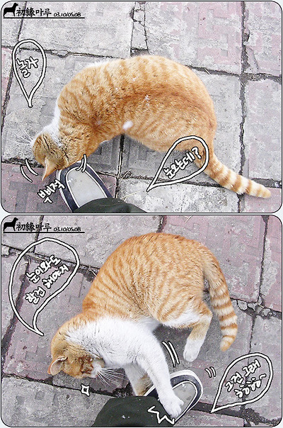 이미지를 클릭하면 원본을 보실 수 있습니다.