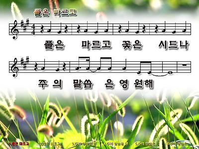 이미지를 클릭하면 원본을 보실 수 있습니다.