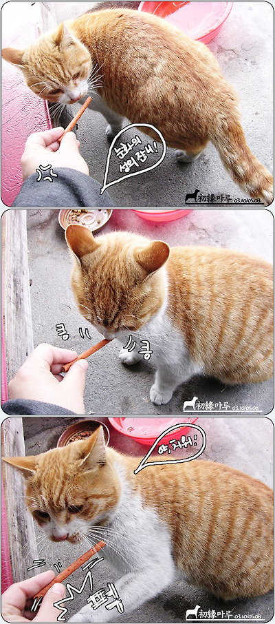 이미지를 클릭하면 원본을 보실 수 있습니다.