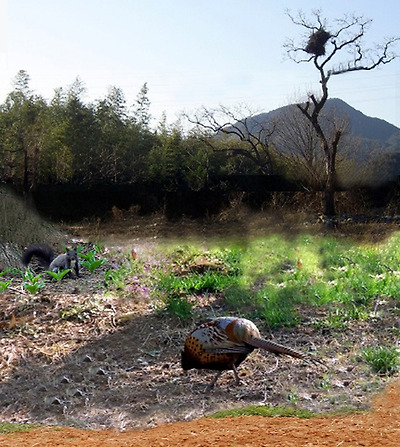 이미지를 클릭하면 원본을 보실 수 있습니다.