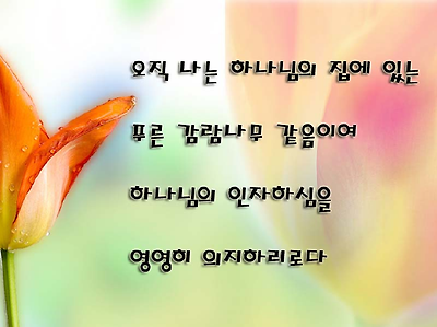 이미지를 클릭하면 원본을 보실 수 있습니다.