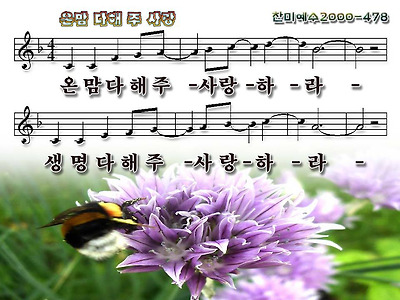 이미지를 클릭하면 원본을 보실 수 있습니다.