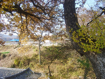 이미지를 클릭하면 원본을 보실 수 있습니다.