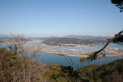 이미지를 클릭하면 원본을 보실 수 있습니다.