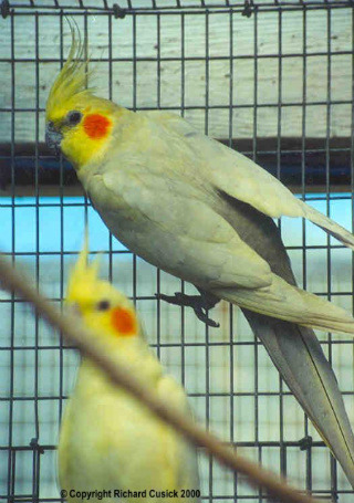 이미지를 클릭하면 원본을 보실 수 있습니다.