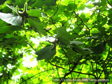 이미지를 클릭하면 원본을 보실 수 있습니다.