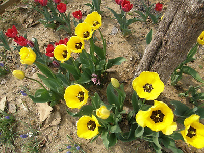 이미지를 클릭하면 원본을 보실 수 있습니다.