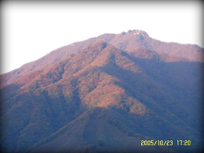 이미지를 클릭하면 원본을 보실 수 있습니다.