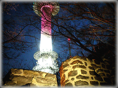 남산과 벚꽃 그리고