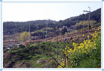 이미지를 클릭하면 원본을 보실 수 있습니다.