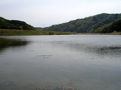 이미지를 클릭하면 원본을 보실 수 있습니다.