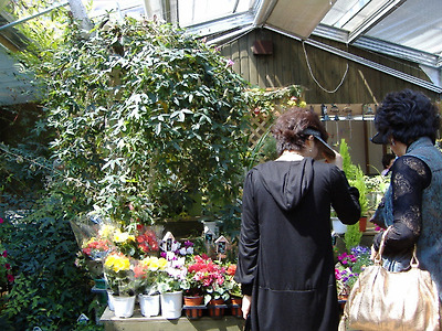 이미지를 클릭하면 원본을 보실 수 있습니다.