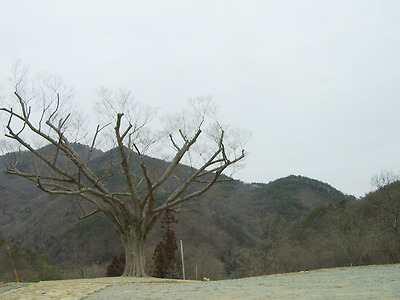 이미지를 클릭하면 원본을 보실 수 있습니다.
