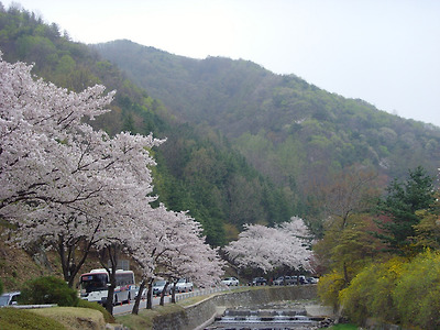 이미지를 클릭하면 원본을 보실 수 있습니다.
