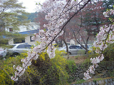 이미지를 클릭하면 원본을 보실 수 있습니다.
