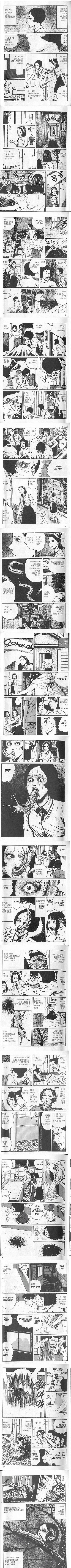 이미지를 클릭하면 원본을 보실 수 있습니다.