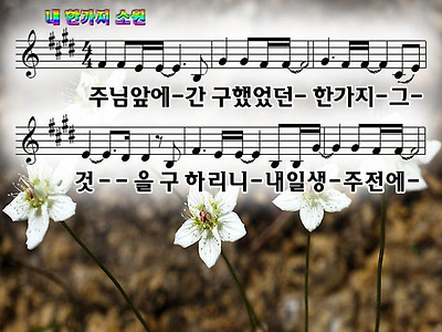 이미지를 클릭하면 원본을 보실 수 있습니다.