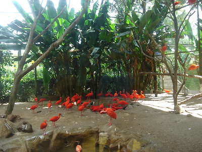 이미지를 클릭하면 원본을 보실 수 있습니다.