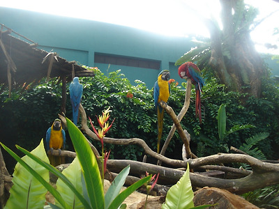 이미지를 클릭하면 원본을 보실 수 있습니다.