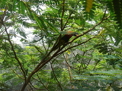 이미지를 클릭하면 원본을 보실 수 있습니다.