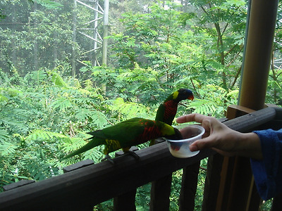 이미지를 클릭하면 원본을 보실 수 있습니다.