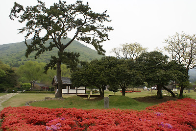 이미지를 클릭하면 원본을 보실 수 있습니다.
