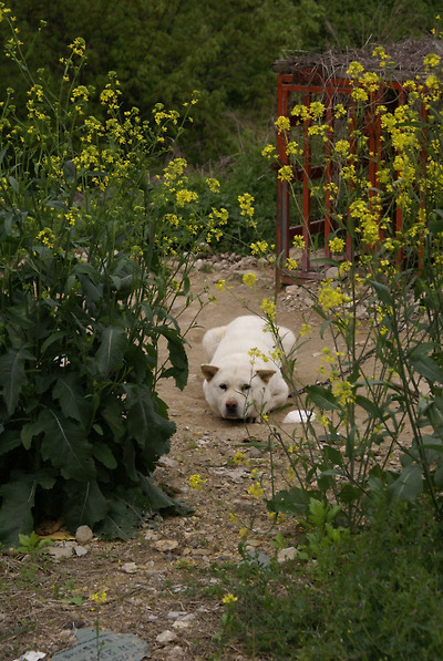 이미지를 클릭하면 원본을 보실 수 있습니다.