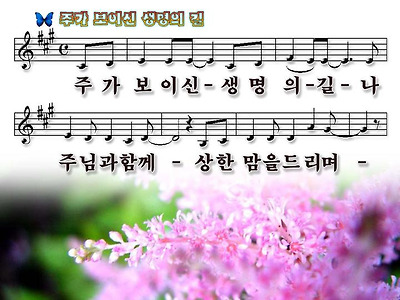 이미지를 클릭하면 원본을 보실 수 있습니다.